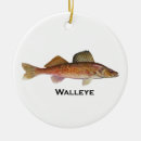 Recherche de brochet Poissons de brochets vairons