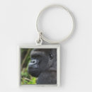 Search for silverback gorilla keychains Mammal