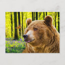 Recherche de delight posters Nature