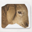 Recherche de profil tapis souris Animaux