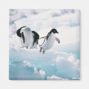Search for antarctica magnets Penguins