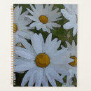 Recherche de et marguerite blanche Jardin