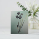 Recherche de ukiyoe cartes postales Vintage