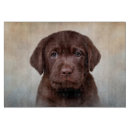 Search for labrador cutting boards Animals
