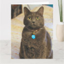 Recherche de chat bleu russe vœux cartes Mignon