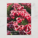 Search for mark postcards White