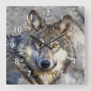 Recherche de wolfs horloges Wolves