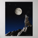 Recherche de hurlement posters Ciel nocturne