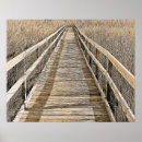 Recherche de marais art Photographie