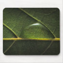 Search for vein mousepads Botany