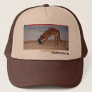 Recherche de sable trucker casquettes Glace
