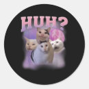 Recherche de le chat le plus drôle autocollants Non biologique