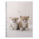 Search for welsh corgi notebooks Canine
