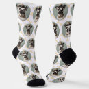 Recherche de animaux chaussettes Amoureux des animaux