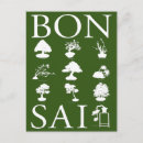 Recherche de bonsaï cartes postales Jardinage