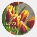 Recherche de tulipe rouge autocollants Fleurs