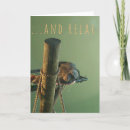 Search for funny chimpanzee cards Wildlife