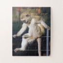 Search for monkey puzzles Funny