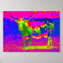 Search for texas longhorn posters Cow