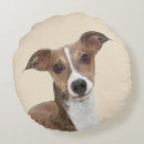 Search for italian pillows Dog