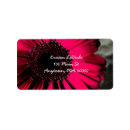 Search for gerber labels Pink gerber daisy