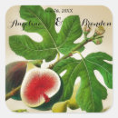 Search for fig stickers Vintage