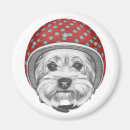 Recherche de casque moto magnets Mignon