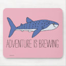 Recherche de requins baleine tapis souris Marine life institute