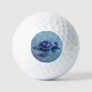 Search for turtle golf balls Marine life