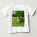 Search for terrier baby shirts Animal