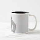 Search for 1825 mugs August