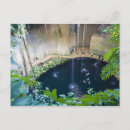 Recherche de roo cartes postales Bleu