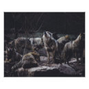 Recherche de wolf posters Faune