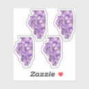 Search for illinois state stickers Land of lincoln