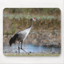 Search for sandhill electronics Crane
