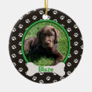 Search for new dog ornaments Puppy