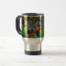 Search for lorikeet mugs Birds