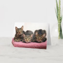 Search for animal charity cards Cute