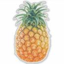 Search for big pineapple stickers Hawaii