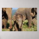 Search for thailand travel posters Tourism