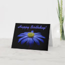 Search for happy daisy cards Flowers
