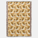 Search for orange cat blankets Animal