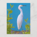 Search for egrets postcards Lake