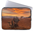 Search for camel desert cases Sunset