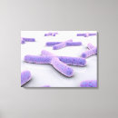Search for developer canvas prints Biomedical illustrations