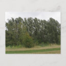 Search for tree line postcards Woodland