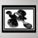 Search for black and white tropical posters Coastal