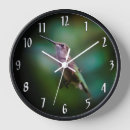 Recherche de rubis horloges Colibri