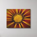 Recherche de gerber impressions sur toile Marguerite