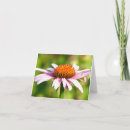 Search for feature cards Photography